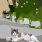 'Lazy Cat' 2022
